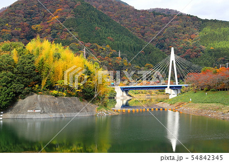 紅葉の丹沢湖 紅葉の丹沢湖 54842345