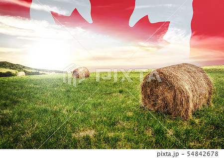 Canadian farm field 54842678