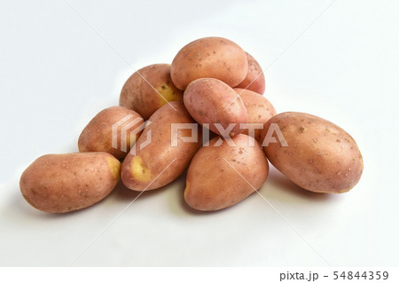 ジャガイモ（インカのひとみ） 54844359
