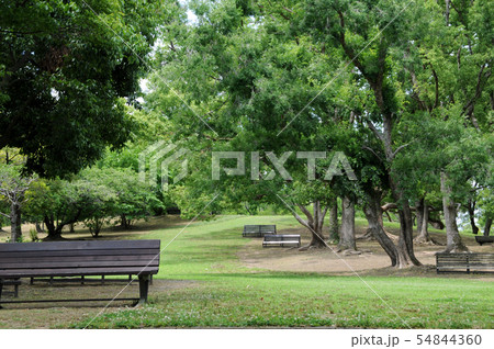 公園のベンチ 54844360