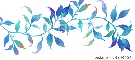 透明水彩 水彩画 木の葉 54844454