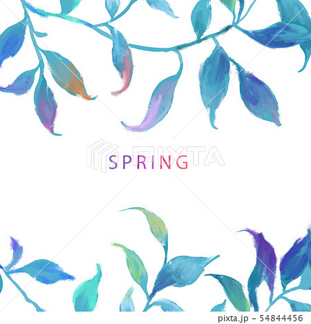 透明水彩 水彩画 木の葉 54844456