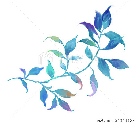 透明水彩 水彩画 木の葉 54844457