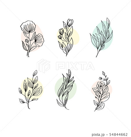 Floral Decoration Branch Leaf Plant Line Stroke のイラスト素材