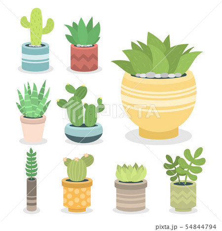 Cactus green plant cactaceous home nature cacti illustration of tree with flower Cactus green plant cactaceous home nature cacti illustration of tree with flower 54844794