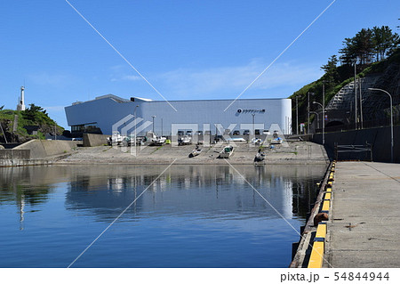 加茂水族館(ギネス世界記録認定) 加茂水族館(ギネス世界記録認定) 54844944