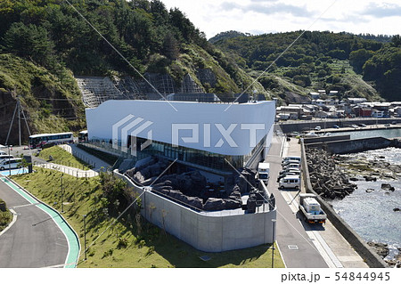 加茂水族館(ギネス世界記録認定) 加茂水族館(ギネス世界記録認定) 54844945