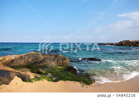 鏡浦台 海 ビーチ 54845216