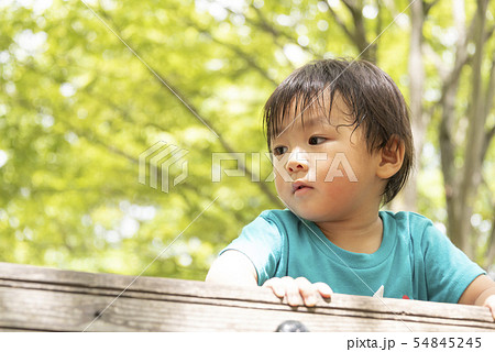 子供 男の子 ポートレート 2才児 幼児の写真素材