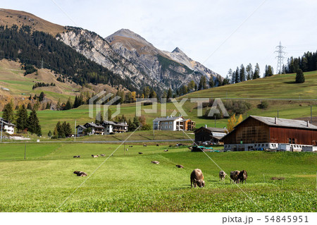 view of the albula pass in grisons, switzerland, europe 54845951