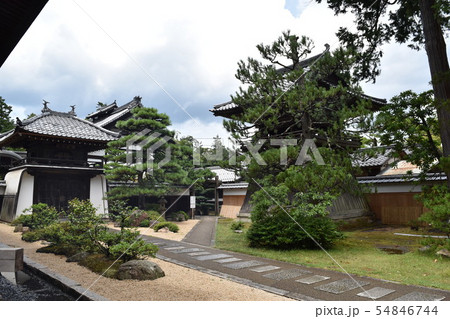 天橋山智恩寺（文殊堂）の庭 54846744