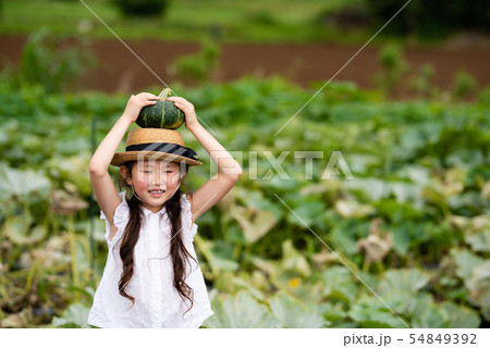 カボチャを収穫する女の子 54849392