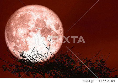 red sturgeon moon on the night red sky back red sturgeon moon on the night red sky back 54850184