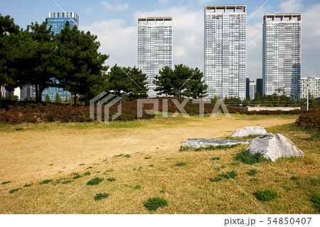 高層ビル ビル 公園 54850407