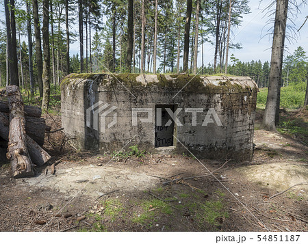 Abandoned World War Two concrete bunker Ropik in spruce tree forest in lusitian mountains near Czech 54851187