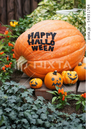 ハロウィンのオブジェ ハロウィンのオブジェ 54851764