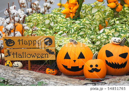 ハロウィンのディスプレイ ハロウィンのディスプレイ 54851765