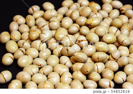 煎り豆 大豆 煎り豆 大豆 54852619