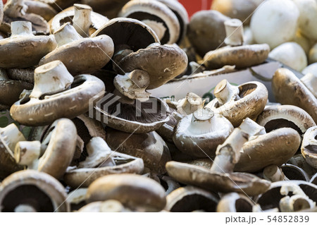 Background of mushrooms on the market in Milan in Background of mushrooms on the market in Milan in 54852839