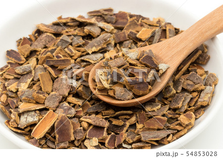 カスカラサグラダ樹皮: Cascara sagrada bark カスカラサグラダ樹皮: Cascara sagrada bark 54853028