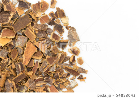 カスカラサグラダ樹皮: Cascara sagrada bark 54853043