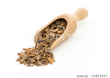 カスカラサグラダ樹皮: Cascara sagrada bark カスカラサグラダ樹皮: Cascara sagrada bark 54853047
