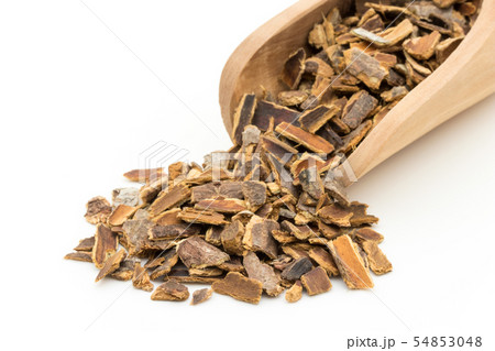カスカラサグラダ樹皮: Cascara sagrada bark 54853048