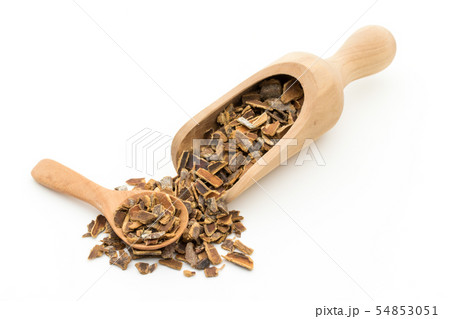 カスカラサグラダ樹皮: Cascara sagrada bark カスカラサグラダ樹皮: Cascara sagrada bark 54853051