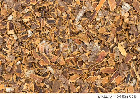 カスカラサグラダ樹皮: Cascara sagrada bark カスカラサグラダ樹皮: Cascara sagrada bark 54853059