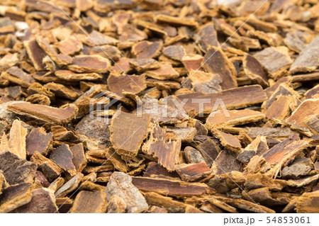 カスカラサグラダ樹皮: Cascara sagrada bark カスカラサグラダ樹皮: Cascara sagrada bark 54853061