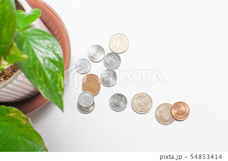 硬貨多種 日本円 硬貨多種 日本円 54853414