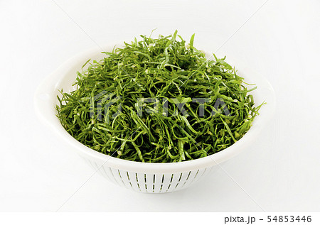 刻んだ野菜  ニガナ、ンジャナ（ホソバワダン） 54853446