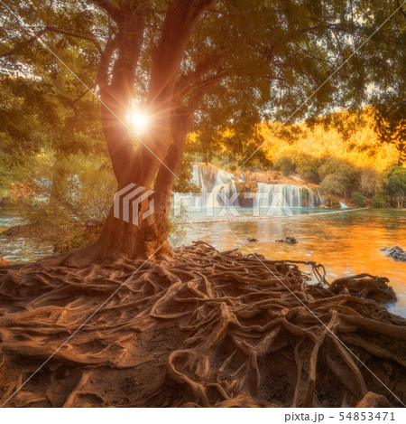 Amazing nature landscape, waterfall Skradinski buk, Krka National Park, Croatia 54853471