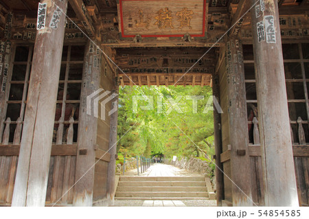 駒ヶ根　光前寺 仁王門 54854585