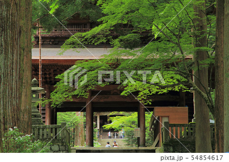 駒ヶ根　光前寺 三門 54854617