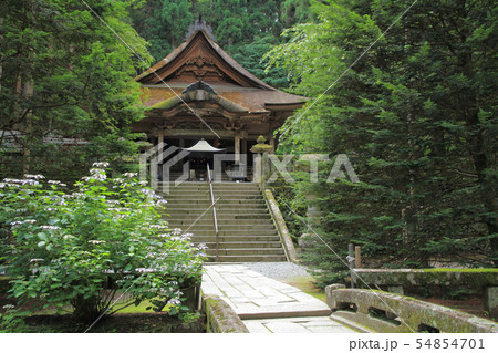 駒ヶ根 光前寺 駒ヶ根 光前寺 54854701