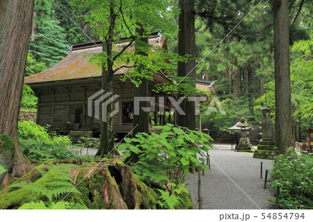 駒ヶ根　光前寺 54854794