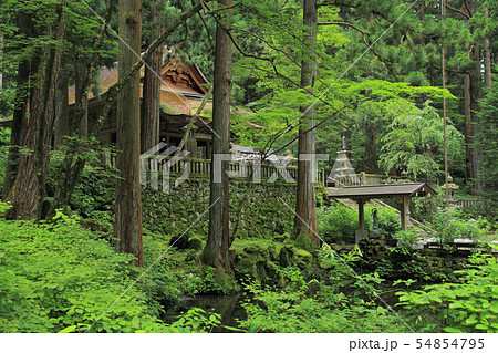 駒ヶ根　光前寺 54854795