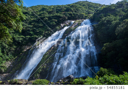 屋久島の大川の滝 54855181