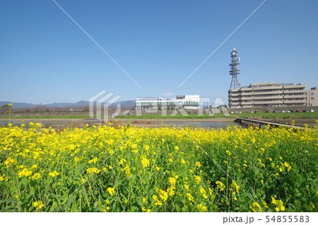 菜の花と遠賀川水辺館 54855583