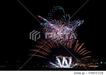 伊江島から見た海洋博公園の花火大会 54855726