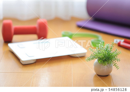 ダイエットイメージ ダイエットイメージ 54856128