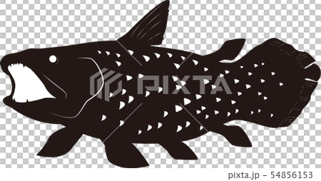 coelacanth 54856153