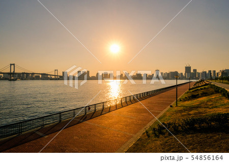 豊洲ぐるり公園の風景 (夕景) 豊洲ぐるり公園の風景 (夕景) 54856164