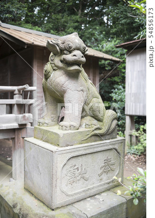 冨塚八幡宮(横浜市戸塚区戸塚町) 冨塚八幡宮(横浜市戸塚区戸塚町) 54856173