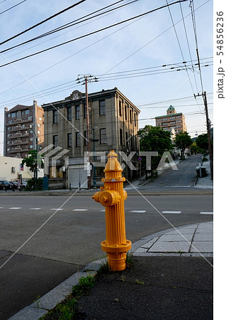 【北海道】黄色い消火栓（函館） 54856236