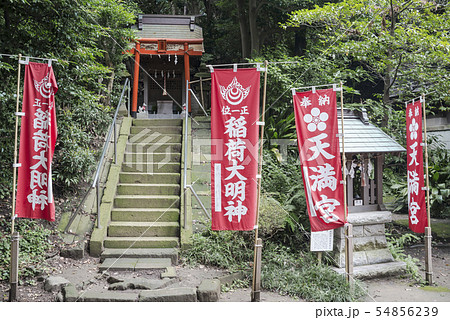 冨塚八幡宮の玉守稲荷(横浜市戸塚区戸塚町) 冨塚八幡宮の玉守稲荷(横浜市戸塚区戸塚町) 54856239