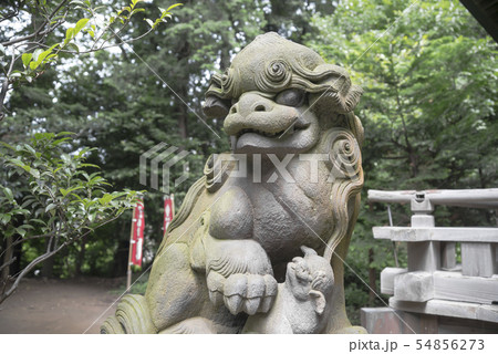 冨塚八幡宮（横浜市戸塚区戸塚町） 54856273