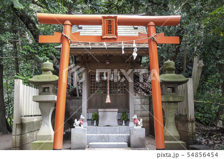 冨塚八幡宮の玉守稲荷(横浜市戸塚区戸塚町) 冨塚八幡宮の玉守稲荷(横浜市戸塚区戸塚町) 54856454