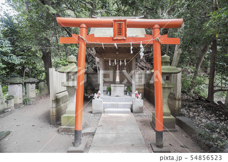 冨塚八幡宮の玉守稲荷(横浜市戸塚区戸塚町) 冨塚八幡宮の玉守稲荷(横浜市戸塚区戸塚町) 54856523